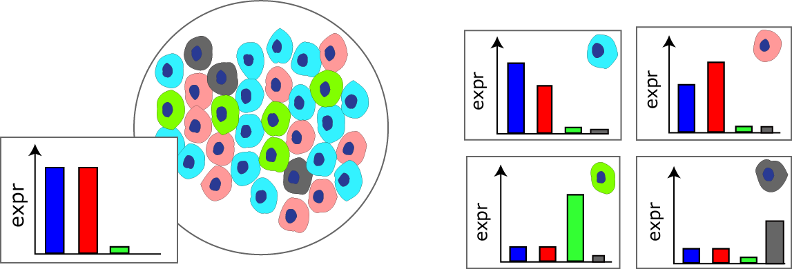 single cell analyses